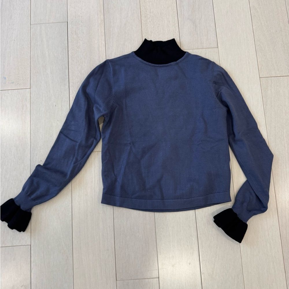Blue magnetic turtleneck sweater